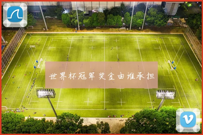 世界杯冠军奖金由谁承担