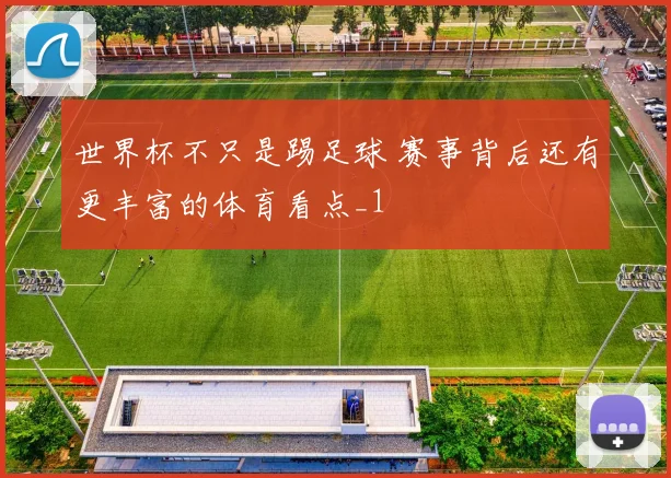 世界杯不只是踢足球 赛事背后还有更丰富的体育看点_1