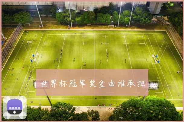 世界杯冠军奖金由谁承担